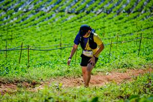 BIB: 
                            <button type="button" onclick="openModal(19164073)" class="btn btn-primary btn-sm float-right btn-popup" data-toggle="modal" data-target=".modal-high-quality">
                        <i class="fas fa-shopping-cart"></i> Add to Cart
                    </button>
                                            <button type="button" onclick="isThisMe(19164073, true)" class="btn btn-success btn-sm float-right btn-popup btn-isme hidden" data-toggle="tooltip" data-placement="bottom" title="นี่คือรูปของคุณใช่ไหม คลิกที่นี่เพื่อเอาเข้าอัลบั้ม">
                        <i class="fas fa-plus"></i> Add to album
                    </button>
                    <button type="button" onclick="isThisMe(19164073, false)" class="btn btn-warning btn-sm float-right btn-popup btn-isnotme hidden">
                        <i class="fas fa-ban"></i> Remove from album
                    </button>